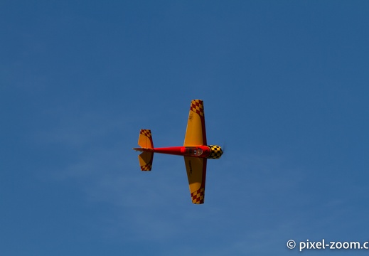 IMG 9598