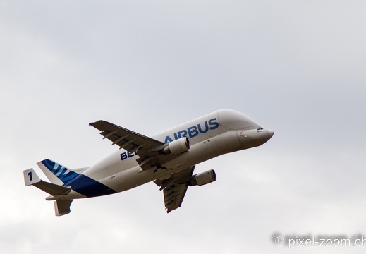IMG 7384
