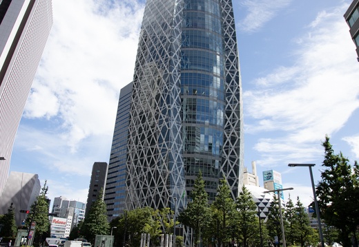 IMG 0391
