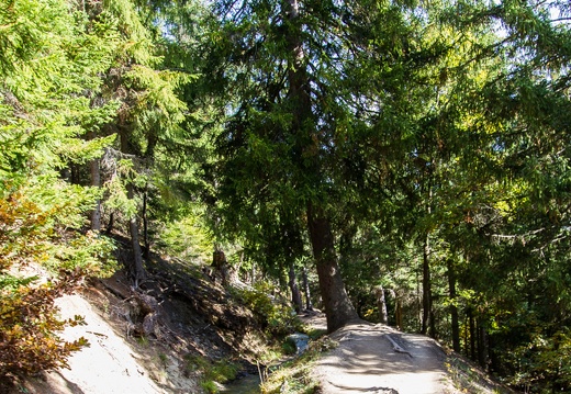 Bisse de Savièse - Torrent-Neuf