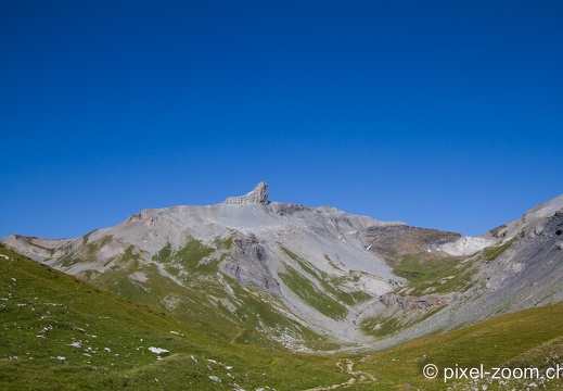 IMG 7300