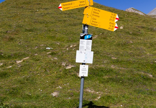 IMG 7318